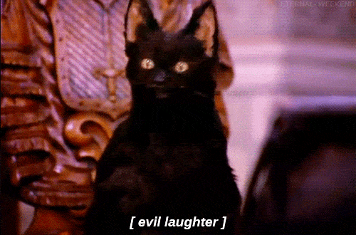 evil cat laughing