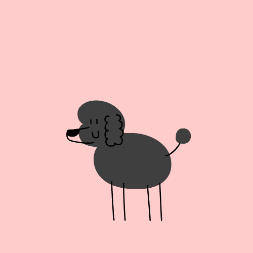 from dog with love
