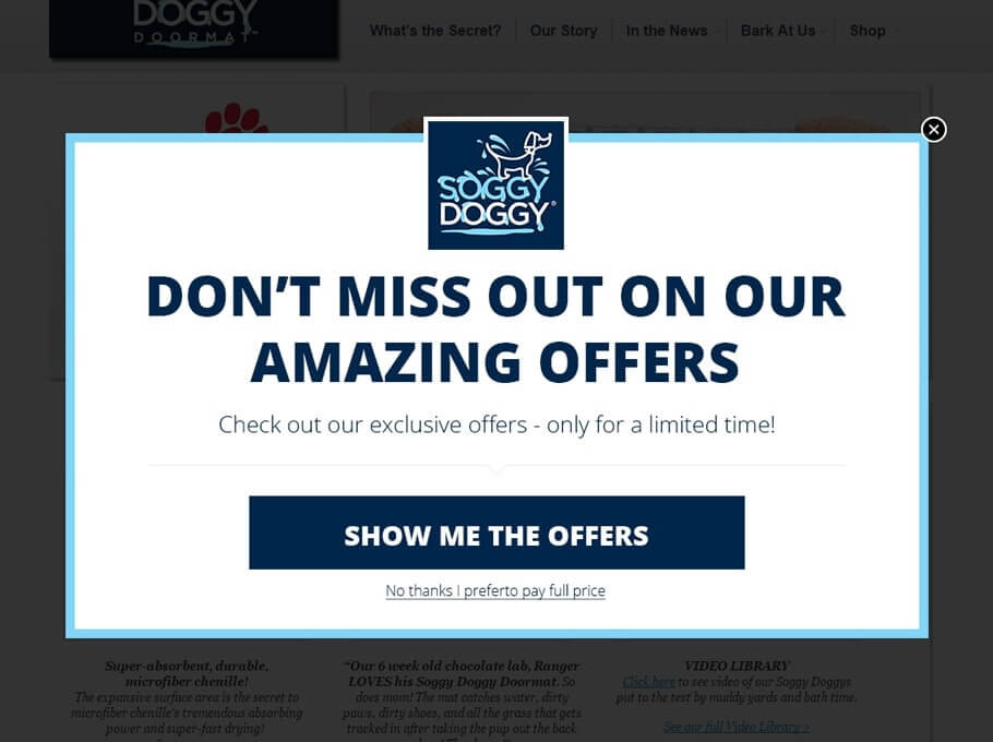 38 Best Pop Up Examples For Your Inspiration Explained Dashly Blog