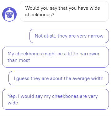 Make money with chatbots
