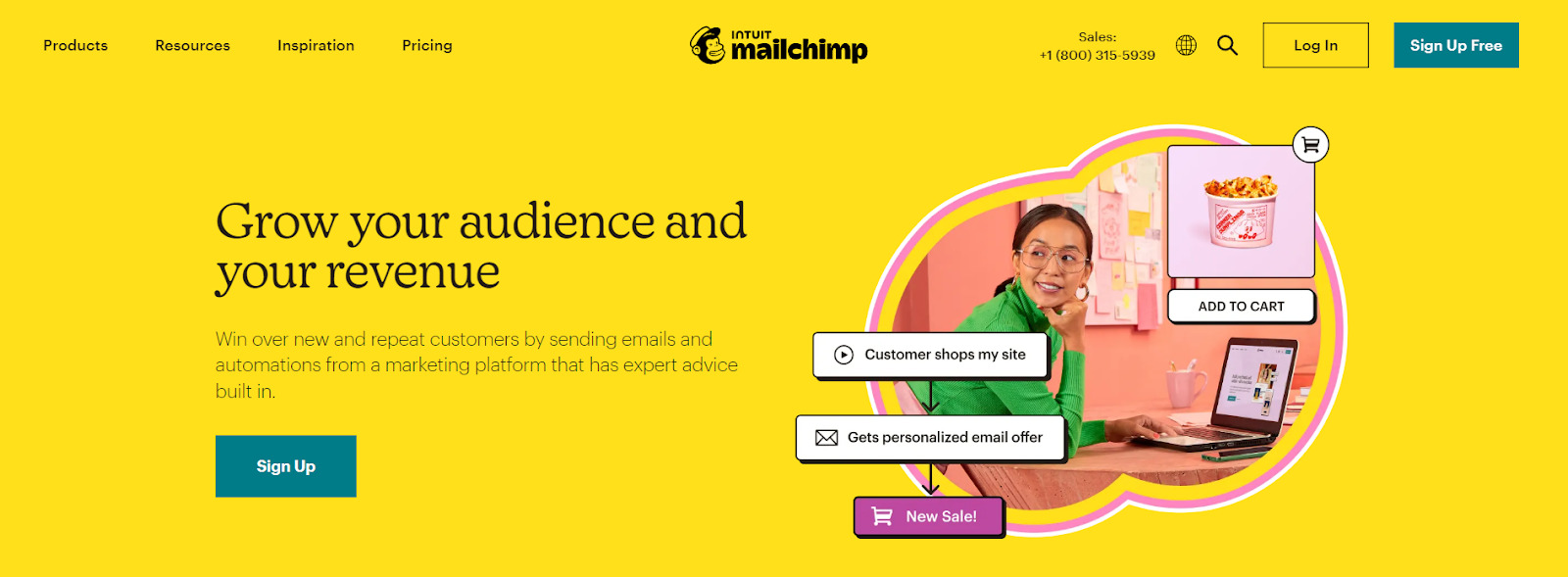 mailchimp-lead-generation-services mail chimp