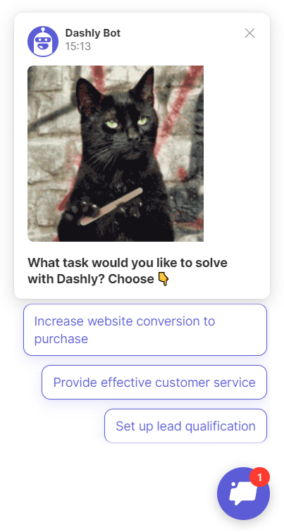 Dashly chatbot for lead generation and qualification