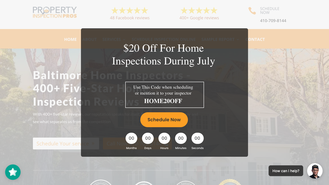 Property Inspection Pros — live chat example from Dashly
