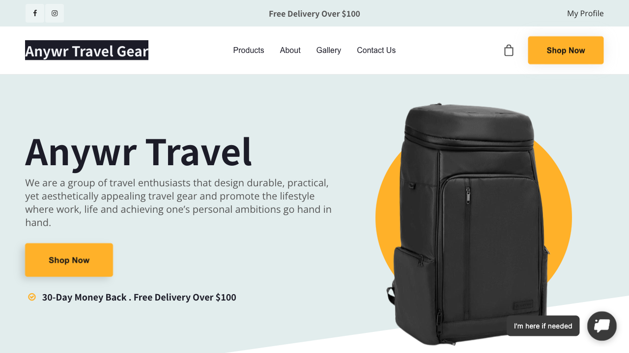 Anywr Travel Gear — live chat example from Dashly