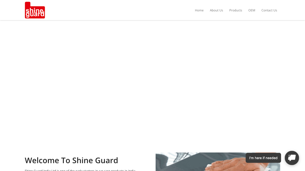 Shine Guard India — live chat example from Dashly