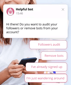 Customer assistant chatbot example